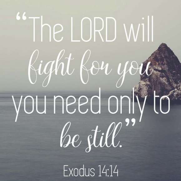 Meet your Posher, Rita - Picture 1 of 1